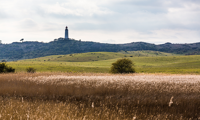 © Oliver Borchert Insel Hiddensee